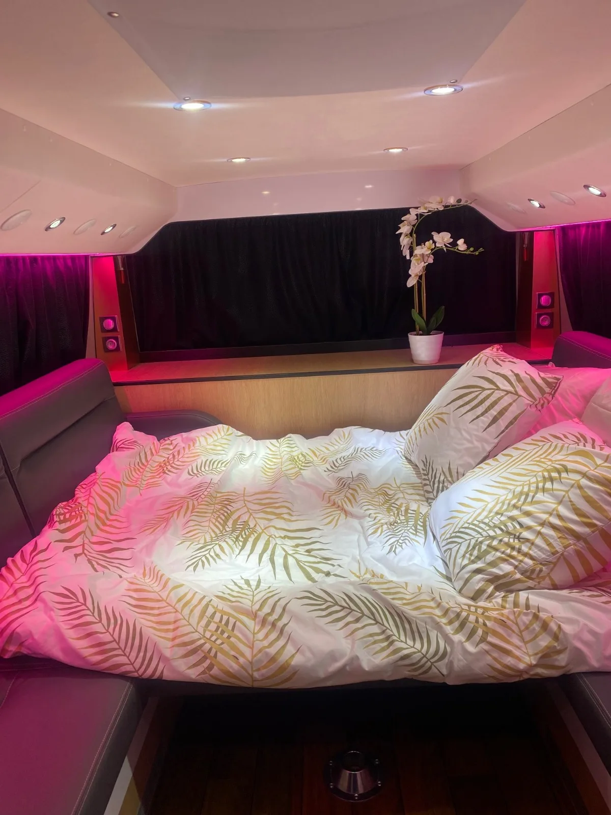 Chambre privée autocar artiste — lit double, orchidée, lumière rose
